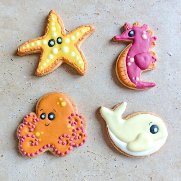 Biscuits Océan