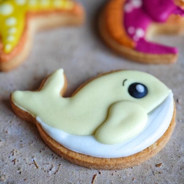 Biscuits Océan – Image 4