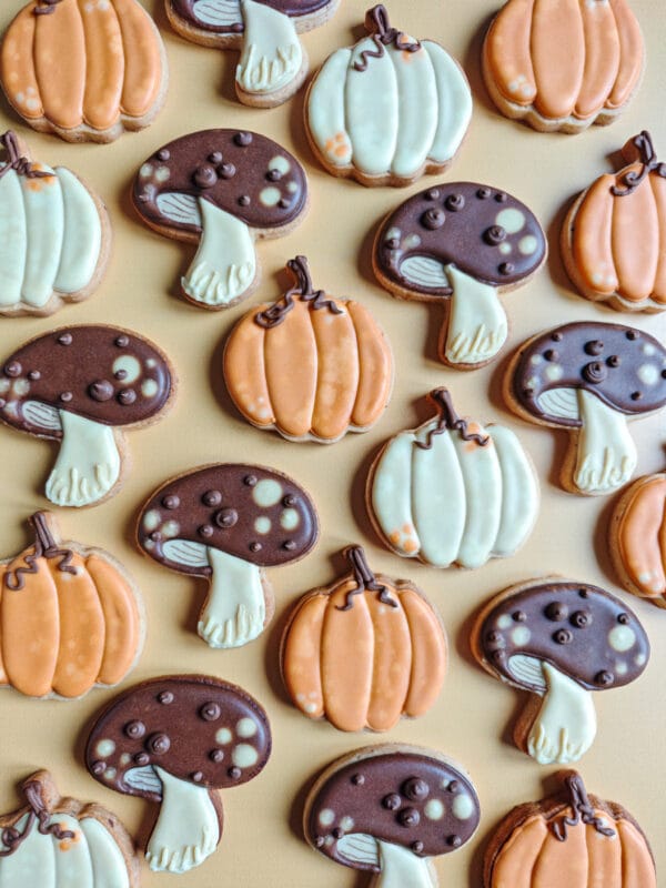 Biscuit citrouille orange – Image 2