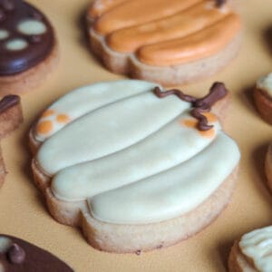 Biscuit citrouille beige