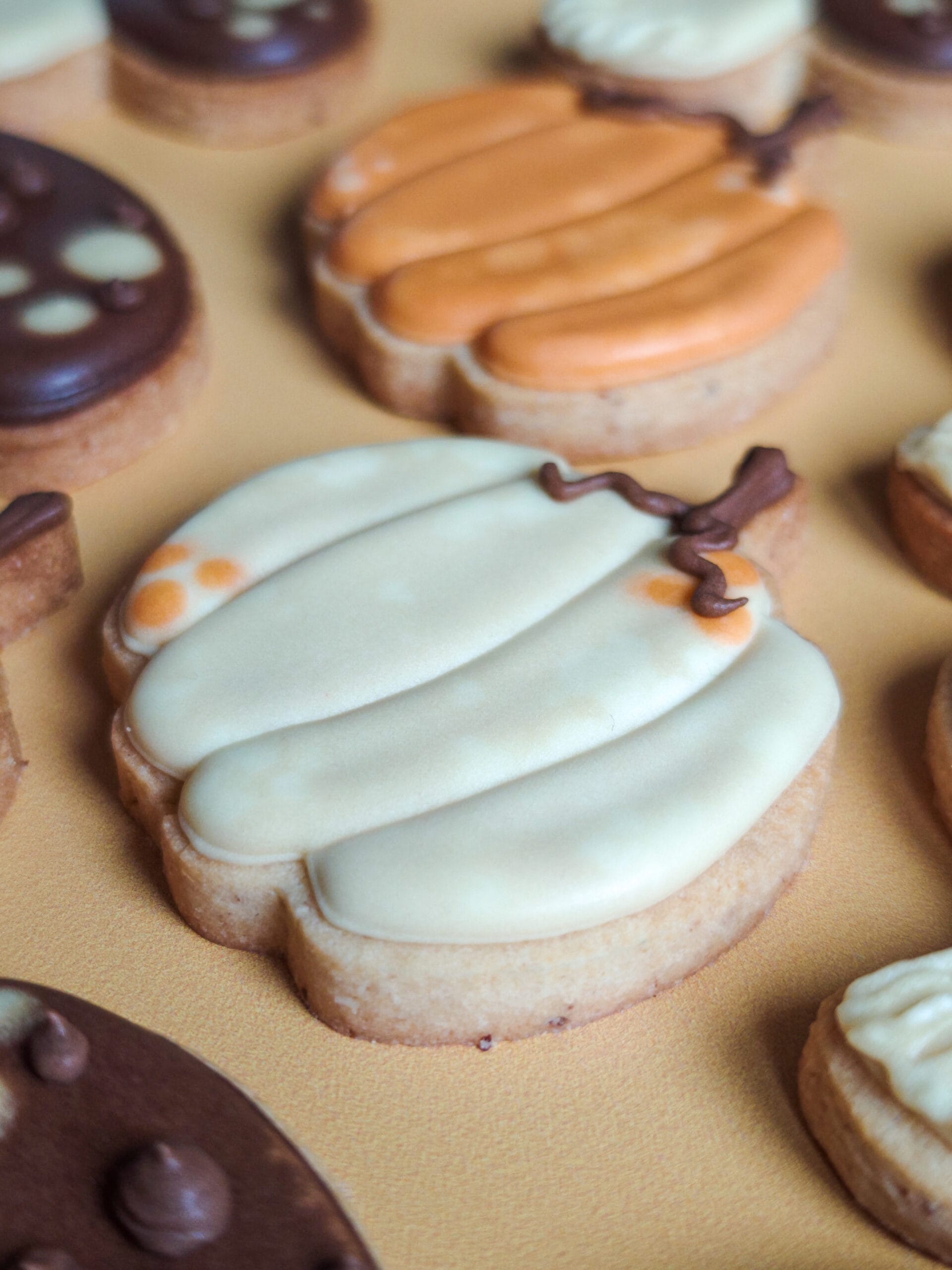 Biscuit citrouille beige – Image 2