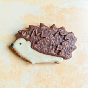 Biscuit hérisson