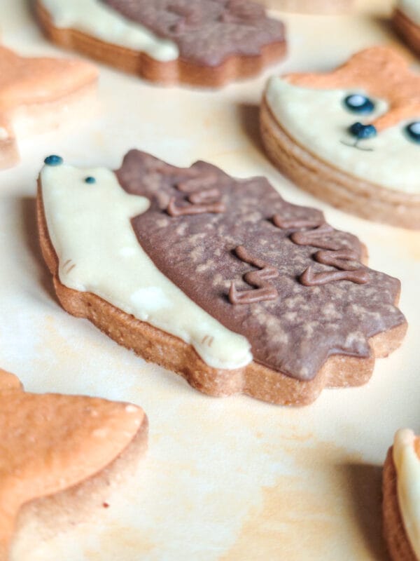 Biscuit hérisson – Image 2