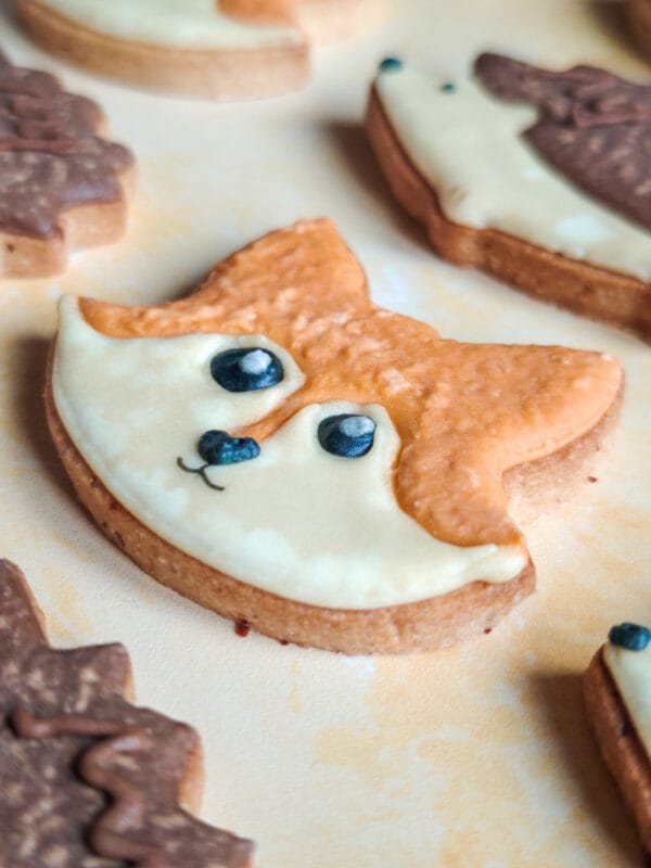 Biscuit renard – Image 3