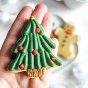 Biscuit sapin – petit modèle