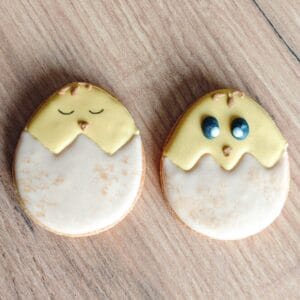 Biscuit poussin – lot de 2