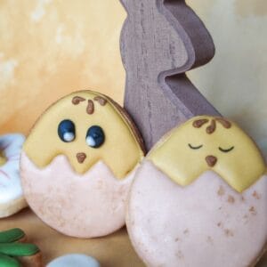 Biscuit poussin – lot de 2