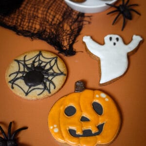 Grand biscuit araignée