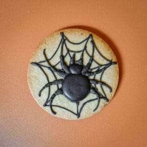 Grand biscuit araignée