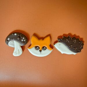 Pack Automne – 3 biscuits